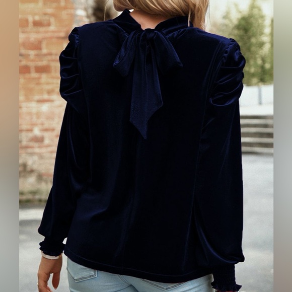 Tie Up Mock Neck Velvet Fabric Long Sleeve Blouse - Picture 10 of 12